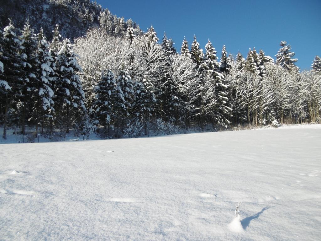 שליטרס Ferienwohnung Zillertal Bacher מראה חיצוני תמונה